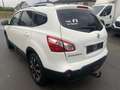 Nissan Qashqai+2 Qashqai+2 1.5 dCi 2WD Executive+18''+AVM DPF Blanc - thumbnail 5