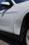 BMW X1 sdrive18d Sport Line Bianco - thumbnail 14