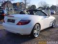 Mercedes-Benz SLK 200 SPORT-P,NAVI,AIRSCARF,SHZ,PTS,LEDER,PANO,GRA,BT Weiß - thumbnail 3