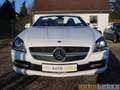 Mercedes-Benz SLK 200 SPORT-P,NAVI,AIRSCARF,SHZ,PTS,LEDER,PANO,GRA,BT Weiß - thumbnail 7