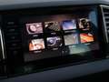 Skoda Karoq 1.5 TSI ACT Business Edition | Panoramadak | Trekh Zwart - thumbnail 39