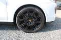 Porsche Cayenne Diesel Platinum Edition/ACC/Pano./Sport Weiß - thumbnail 11