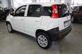 Fiat Panda 0.9 TwinAir Natural Power Van 2 posti PIU IVA 22% Blanc - thumbnail 4
