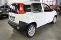 Fiat Panda 0.9 TwinAir Natural Power Van 2 posti PIU IVA 22% Blanc - thumbnail 5