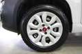 Fiat Panda 0.9 TwinAir Natural Power Van 2 posti PIU IVA 22% Blanc - thumbnail 20