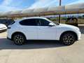 Alfa Romeo Stelvio Stelvio 2.2TD Ti Q4 210cv auto Bianco - thumbnail 3