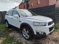 Chevrolet Captiva 2.2 D LTZ 4WD*Autom*Pan*Temp*Navi*7Sitze Weiß - thumbnail 2
