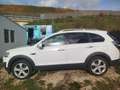 Chevrolet Captiva 2.2 D LTZ 4WD*Autom*Pan*Temp*Navi*7Sitze Weiß - thumbnail 5
