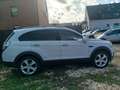 Chevrolet Captiva 2.2 D LTZ 4WD*Autom*Pan*Temp*Navi*7Sitze Weiß - thumbnail 6