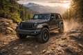 Jeep Wrangler Sahara Grau - thumbnail 3