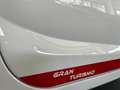 Casalini 550 GRAN TURISMO " NUOVA PRONTA CONSEGNA " Blanco - thumbnail 14