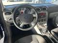 Ford Focus CC Coupé-Cabriolet 1.6 Cool & Sound NAP, distributie Blauw - thumbnail 19