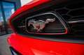 Ford Mustang 3,7 V6 PREMIUM XENON LEDER - thumbnail 43