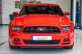 Ford Mustang 3,7 V6 PREMIUM XENON LEDER - thumbnail 2