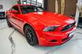 Ford Mustang 3,7 V6 PREMIUM XENON LEDER - thumbnail 3