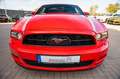 Ford Mustang 3,7 V6 PREMIUM XENON LEDER - thumbnail 16