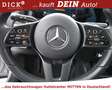 Mercedes-Benz GLA 220 GLA220d Style PANO+NAV+STNDHZ+LEDER+SITZLÜFT+KAM Gris - thumbnail 18