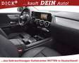 Mercedes-Benz GLA 220 GLA220d Style PANO+NAV+STNDHZ+LEDER+SITZLÜFT+KAM Gris - thumbnail 12