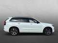 Volvo XC90 T8 PHEV AWD Plus Dark *AHK+GJR+PANO+HUD* Білий - thumbnail 6