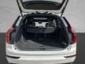 Volvo XC90 T8 PHEV AWD Plus Dark *AHK+GJR+PANO+HUD* Білий - thumbnail 10