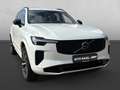 Volvo XC90 T8 PHEV AWD Plus Dark *AHK+GJR+PANO+HUD* Белый - thumbnail 11