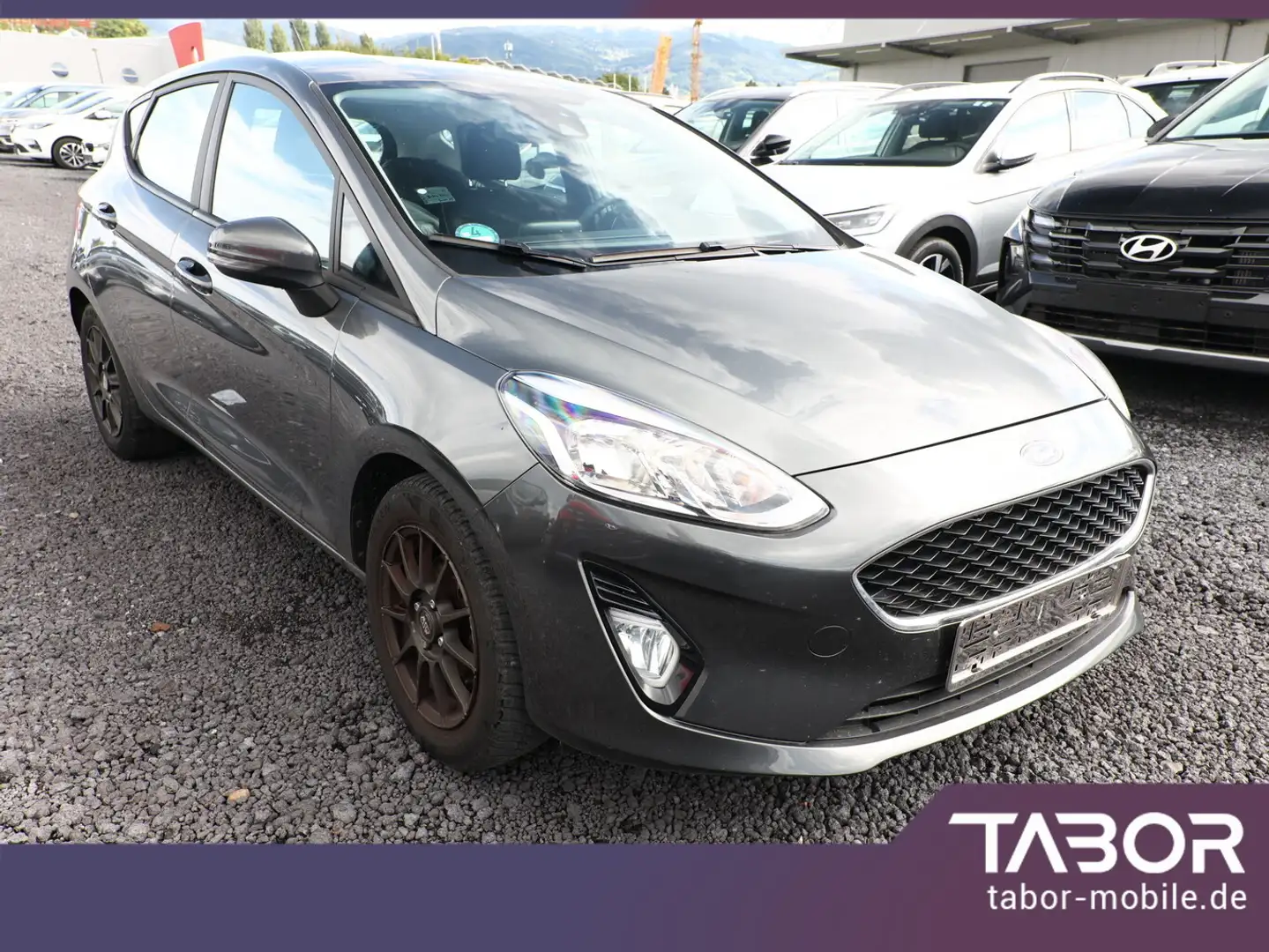 Ford Fiesta 1.0 EcoBoost 100 Vignale SHZ Temp Klima Grau - 2