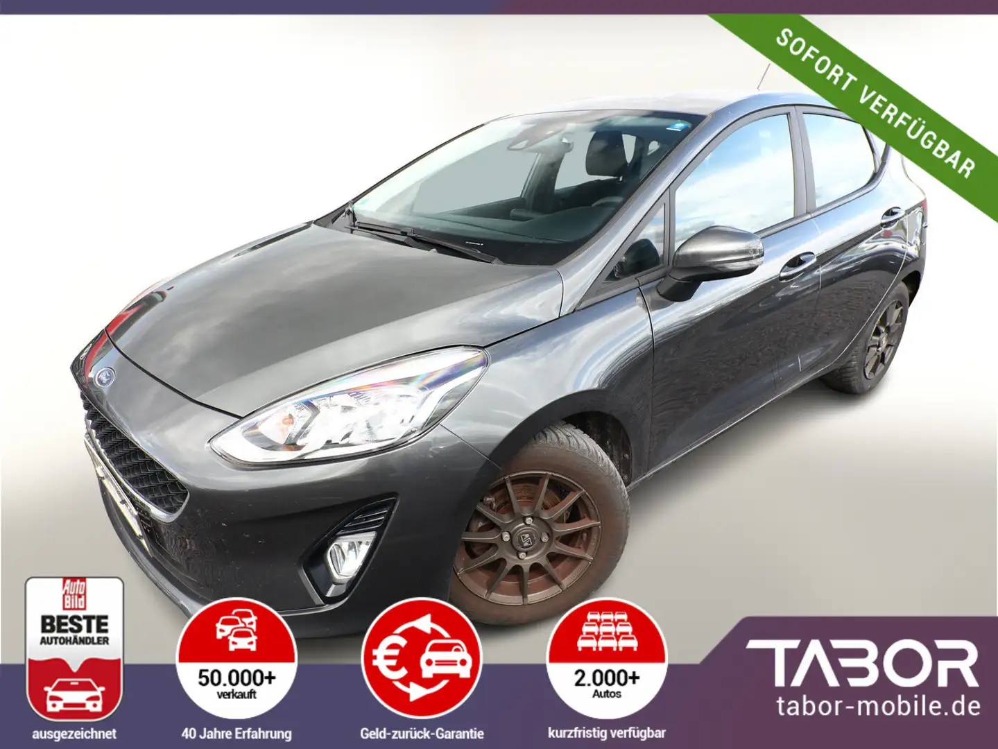 Ford Fiesta 1.0 EcoBoost 100 Vignale SHZ Temp Klima Grau - 1