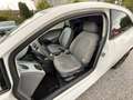 SEAT Ibiza SC Reference 1.2i KLIMA+EFH+LM+TÜV 01/27 - thumbnail 13