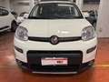 Fiat Panda Panda III 1.0 firefly hybrid City Life s Bianco - thumbnail 2