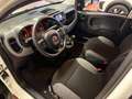 Fiat Panda Panda III 1.0 firefly hybrid City Life s Bianco - thumbnail 8