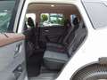 Nissan X-Trail 1.5 Aut. N-Connecta Weiß - thumbnail 8