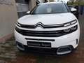 Citroen C5 Aircross SHINE+180PS+49TKM+AUTOMATIK+GARANTIE Weiß - thumbnail 5