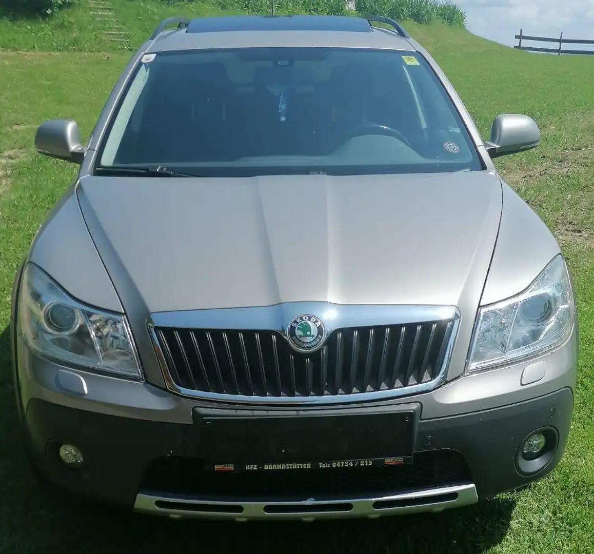 Skoda Octavia Octavia Combi 2,0 Scout TDI CR DPF 4x4 Scout Auriu - 2