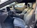 Lexus RZ 350 e Executive 2xKlima 360 ACC AUT Gris - thumbnail 8