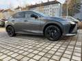 Lexus RZ 350 e Executive 2xKlima 360 ACC AUT Gris - thumbnail 2