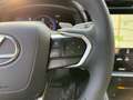Lexus RZ 350 e Executive 2xKlima 360 ACC AUT Gris - thumbnail 15