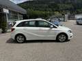 Mercedes-Benz B 180 B 180 CDI / d (246.212) Weiß - thumbnail 3