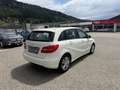 Mercedes-Benz B 180 B 180 CDI / d (246.212) Weiß - thumbnail 4