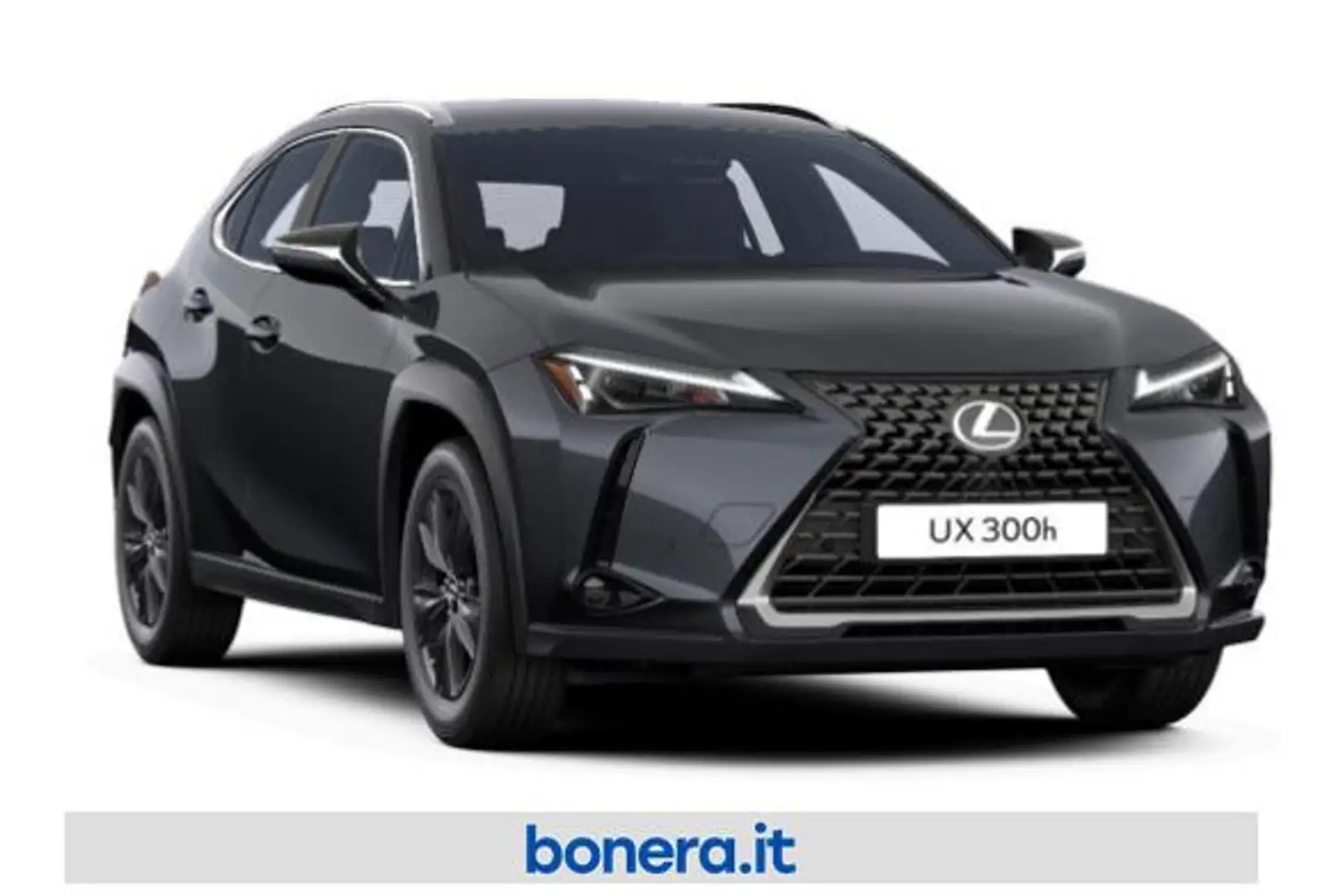 Lexus UX 300h 2.0 Urban 2wd cvt Grau - 2