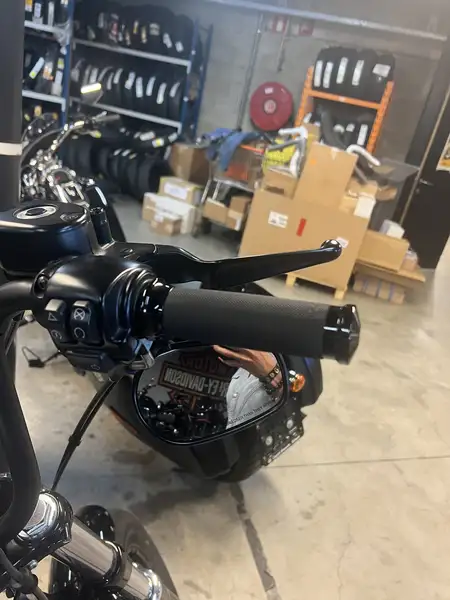 Harley-Davidson SPORTSTER 1200 - foto 4