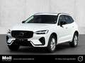 Volvo XC60 Plus Dark Recharge Plug-In Hybrid AWD T8 Twin Engi Weiß - thumbnail 1