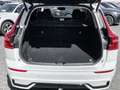 Volvo XC60 Plus Dark Recharge Plug-In Hybrid AWD T8 Twin Engi Weiß - thumbnail 19