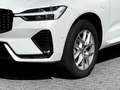 Volvo XC60 Plus Dark Recharge Plug-In Hybrid AWD T8 Twin Engi Weiß - thumbnail 3