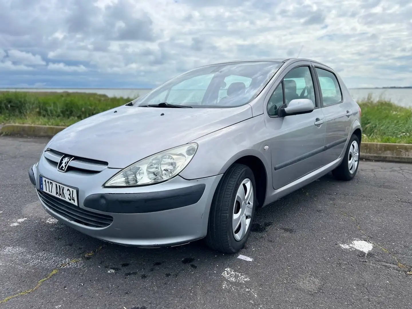 Peugeot 307 307 2.0 HDi - 110 XS siva - 1