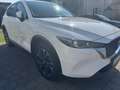 Mazda CX-5 CX-5 e-SKYACTIV-G Prime-Line, Headup Display u.v.m Weiß - thumbnail 3