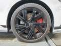 Volkswagen Golf GTI Clubsport 2.0 TSI DSG 18" LED+ ACC KAM Weiß - thumbnail 11