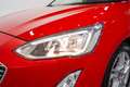 Ford Focus 1.5Ecoblue Trend Edition 95 Rojo - thumbnail 10