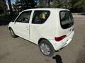 Fiat 600 600 III 2005 1.1 Bianco - thumbnail 11