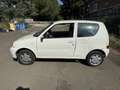 Fiat 600 600 III 2005 1.1 Bianco - thumbnail 2