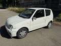 Fiat 600 600 III 2005 1.1 Bianco - thumbnail 13